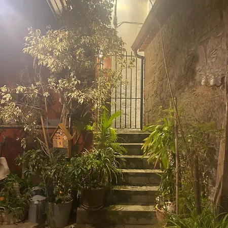 Fonda De La Tea 3*