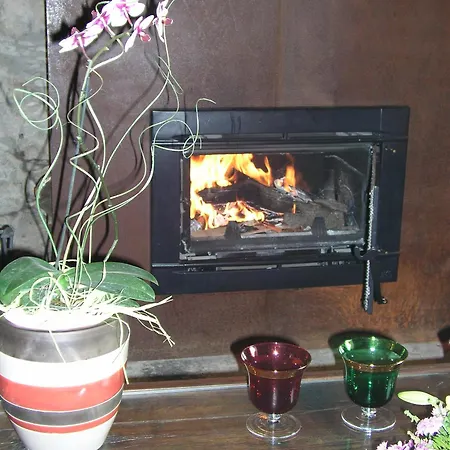 Fonda De La Tea