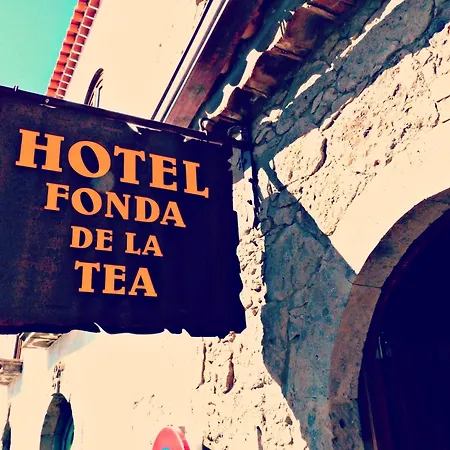 Fonda De La Tea Tejeda (Gran Canaria)